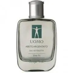 Bottega Verde Abete Argentato parfüm şişesi