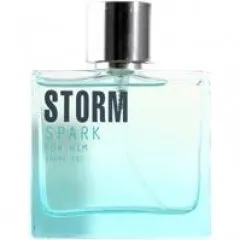 Storm Spark for Him parfüm şişesi