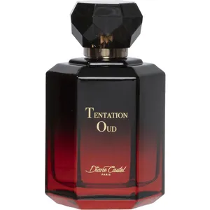 Diane Castel Tentation Oud perfume bottle