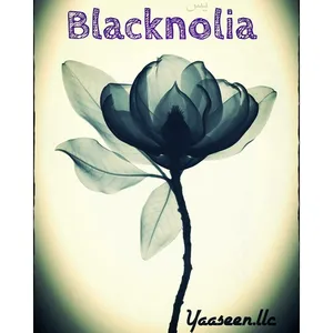 Yaaseen Blacknolia perfume bottle