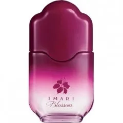 Avon Imari Blossom perfume bottle