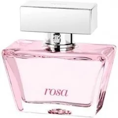 Tous Rosa parfüm şişesi