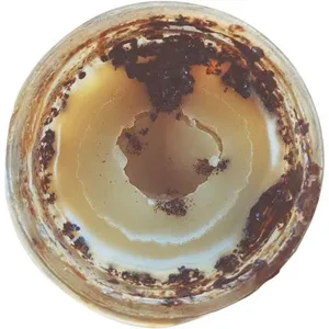 Wild Veil Perfume Vanilla Soliflore parfüm şişesi