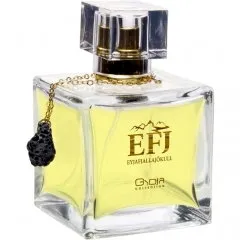 Gydja Collection EFJ Eyjafjallajökull parfüm şişesi