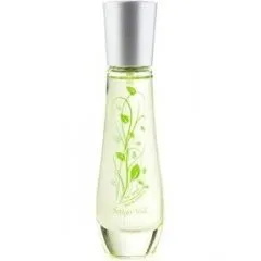Bottega Verde The Verde parfüm şişesi