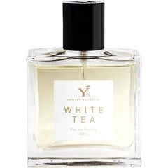 Y25 White Tea parfüm şişesi