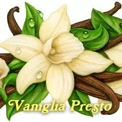 Pulp Fragrance Vaniglia Presto parfüm şişesi