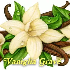 Pulp Fragrance Vaniglia Grave parfüm şişesi