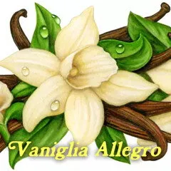 Pulp Fragrance Vaniglia Allegro parfüm şişesi