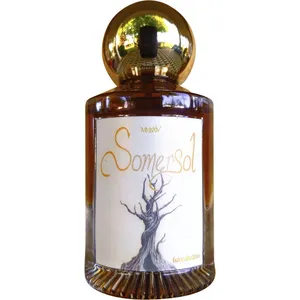 Havenhollow Somersol (2024) perfume bottle