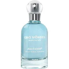 Cinq Mondes Pluie d'Arômes - Rituel de Java, Indonésie parfüm şişesi