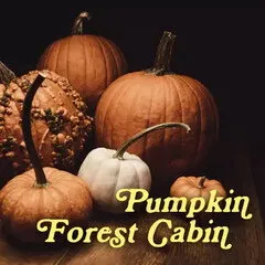 Pulp Fragrance Pumpkin Forest Cabin parfüm şişesi