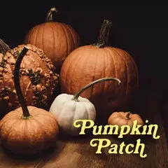 Pulp Fragrance Pumpkin Patch parfüm şişesi