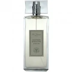 Dr. Vranjes Gigember Estragone perfume bottle
