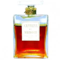 Renoir Cattleya parfüm şişesi
