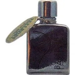 Pierre Lorain Passport for Men parfüm şişesi