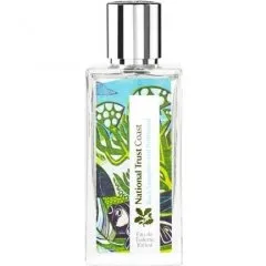 National Trust Coast - Rock Samphire and Driftwood perfume bottle