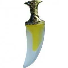 Yiwu Xiangnuo Cosmetics Heroism parfüm şişesi