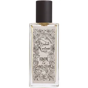 Sentire Stardust Narcissus parfüm şişesi