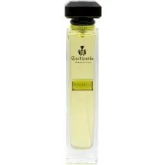 Carthusia Acqua di Carthusia - Bergamotto perfume bottle