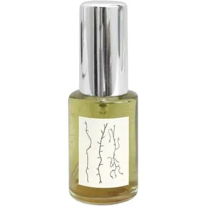 Agar Olfactory Transformación Bentónica perfume bottle