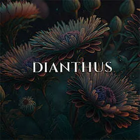 Deconstructing Eden Dianthus perfume bottle