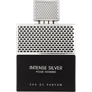 Fragrance World Intense Silver parfüm şişesi