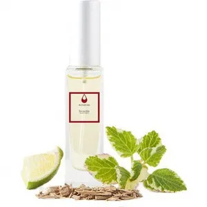 FL Parfums Invincible parfüm şişesi