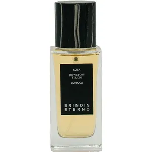 Lula Curioca Olfactory Studio Brindis Eterno perfume bottle