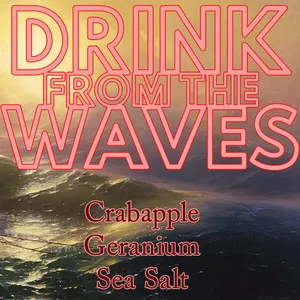 Stone & Wit Drink From The Waves parfüm şişesi