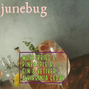 Stone & Wit Junebug parfüm şişesi