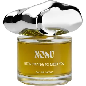 Nosu Been Trying To Meet You parfüm şişesi