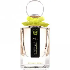 Victoria's Secret No. 1 - Feathered Musk parfüm şişesi