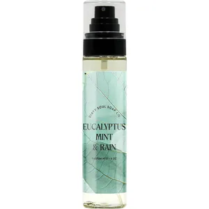 Dirty Soul Soap Co. Eucalyptus Mint & Rain (Parfum Mist) perfume bottle