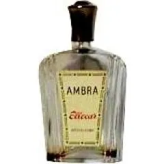 Ellocar Ambra parfüm şişesi