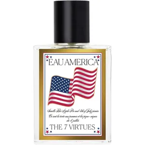 The 7 Virtues Eau America parfüm şişesi