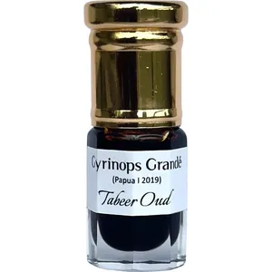 Tabeer Gyrinops Grandé parfüm şişesi