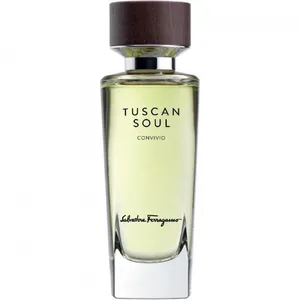 Salvatore Ferragamo Convivio (Eau de Toilette) perfume bottle