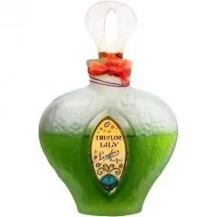 Langlois Truflor Lily parfüm şişesi