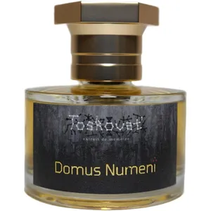 Toskovat' Domus Numeni perfume bottle