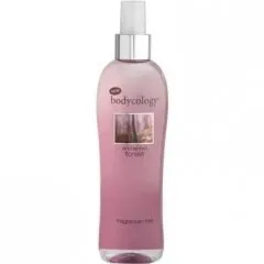 bodycology Enchanted Forest perfume bottle