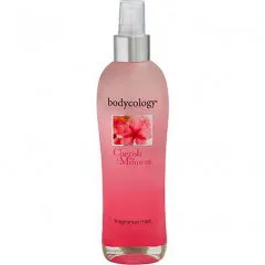 bodycology Exotic Cherry Blossom / Cherish the Moment parfüm şişesi