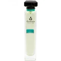 Carthusia Acqua di Carthusia - Aloe Vera parfüm şişesi