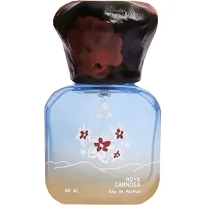 Tomolab Hoya Carnosa perfume bottle
