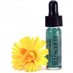Wild Rose Strength parfüm şişesi