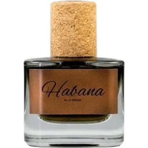 Wild Sense Habana parfüm şişesi