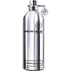 Montale Embruns d'Essaouira parfüm şişesi