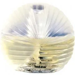 Franck Olivier L'Eau de Franck Olivier perfume bottle