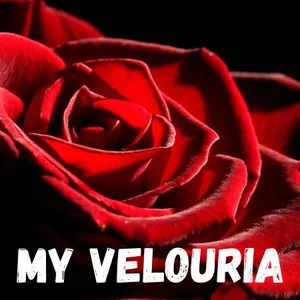 Black Hearted Tart My Velouria perfume bottle