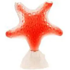 Seajewels Color Collection - Star Red Passion parfüm şişesi